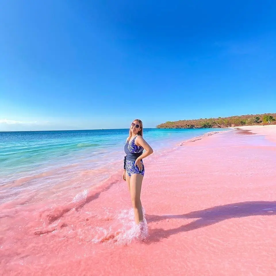 Pink Beach Lonbok