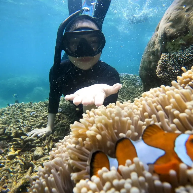 Paket Tour Pulau Peucang