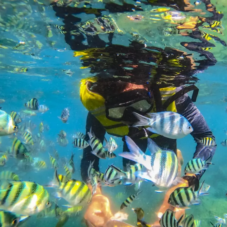 Paket Wisata Pulau Pari