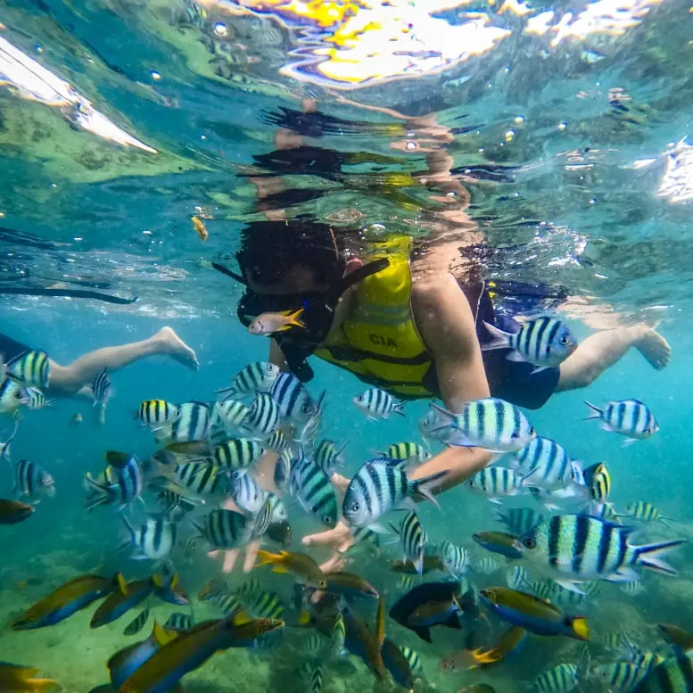 Paket Tour Pulau Pari 2 Hari 1 Malam