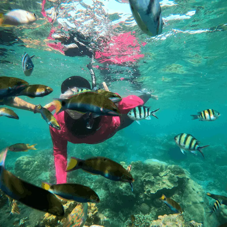 Paket Wisata Pulau Pramuka