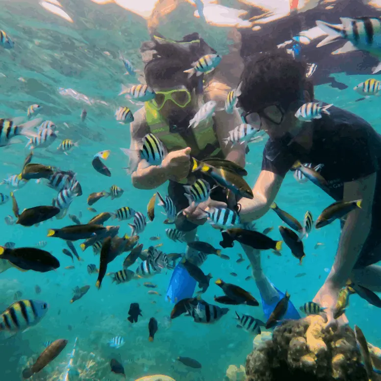 Paket Wisata Pulau Pramuka